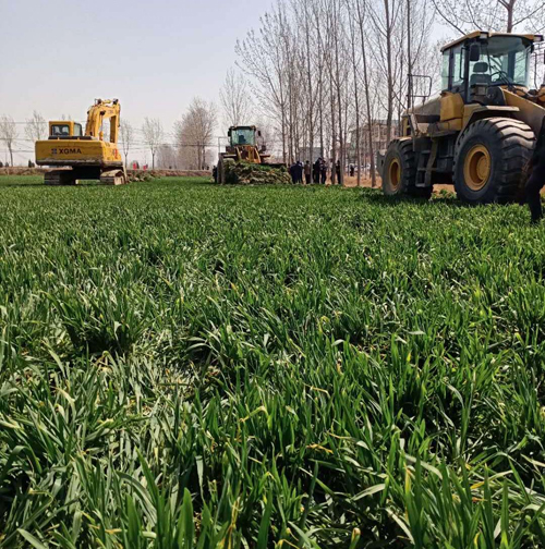 山東鄄城：土地流轉應規範有序 代替農民作主不可取