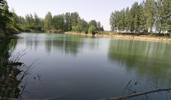 安徽太和：一村支書私自采砂把集體土地租賃給他人被投訴