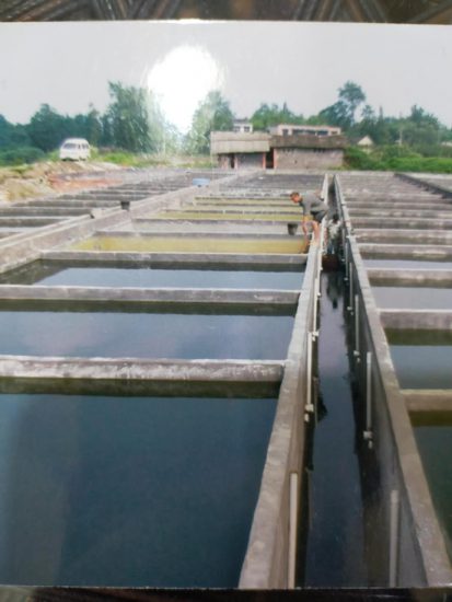 四川新都：民營漁場遭村民哄搶古稀老人上告無門