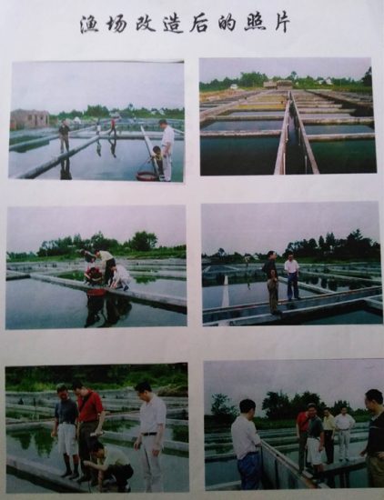 四川新都： 村民哄搶民營魚塘案或成懸案？