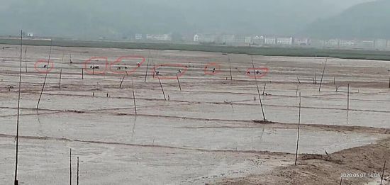 台州三門：討要工程款的村民被刑拘 非法采砂的村主任「毫髮無傷「