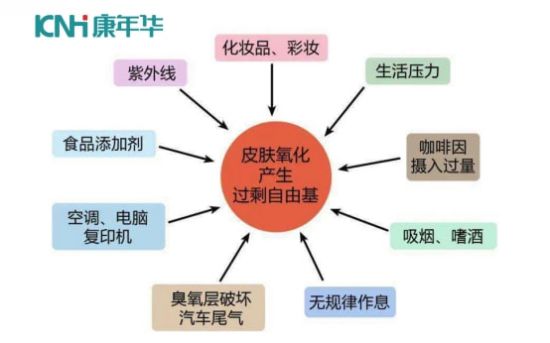 康年華負氧離子對人體健康作用