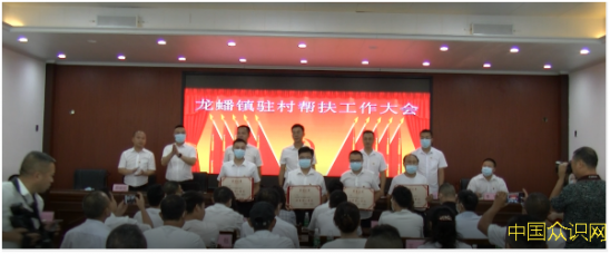 南充嘉陵區龍蟠鎮召開2022年上半年駐村幫扶工作大會