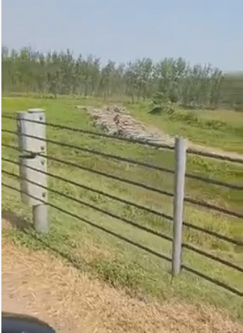 關於湖南南縣烏嘴鄉農業服務中心主任胡覺敏勾結縣林業局高勁鋒等無視黨紀國法以權謀私欺壓百姓的實名舉報信