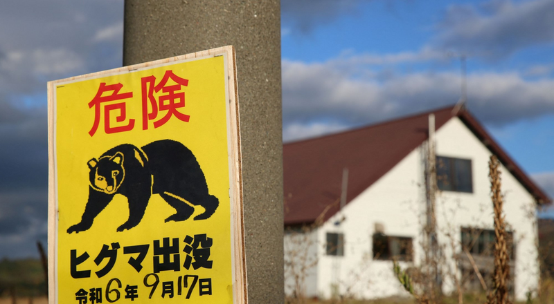 日本频传棕熊袭人！北海道猎人失踪 山路发现步枪、血迹