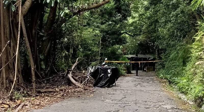 新北和美山步道惊见女尸 运动民众吓坏报案