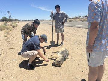 自由雕塑公园“灭共”二字遭害怕 守护狗狗被毒死