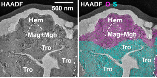 中国科学家首次发现！