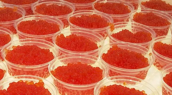 特朗普获赠俄红鱼子酱 美特使曾品尝留下“深刻印象”